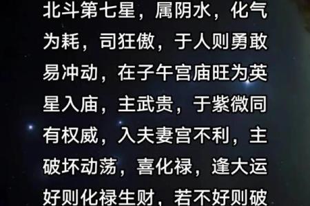 19年紫薇斗数
