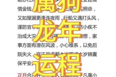 二月份出生的属狗男孩怎么取名字姓名