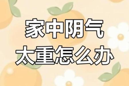 家居风水：住宅阴气太重，有何化解方式！
