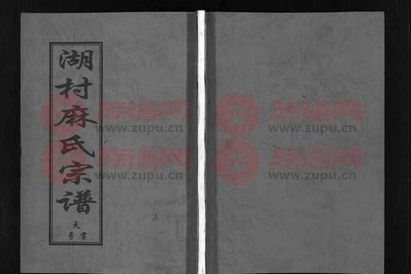 麻姓女孩名字大全-麻姓女孩起名字大全-麻姓名字大全姓名