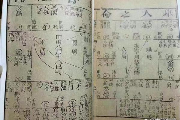 紫薇斗数术数