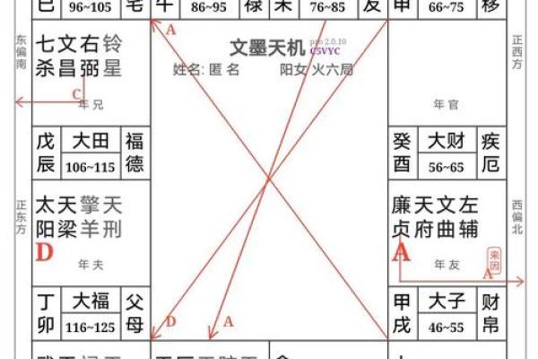 紫薇斗数排盘免费测试