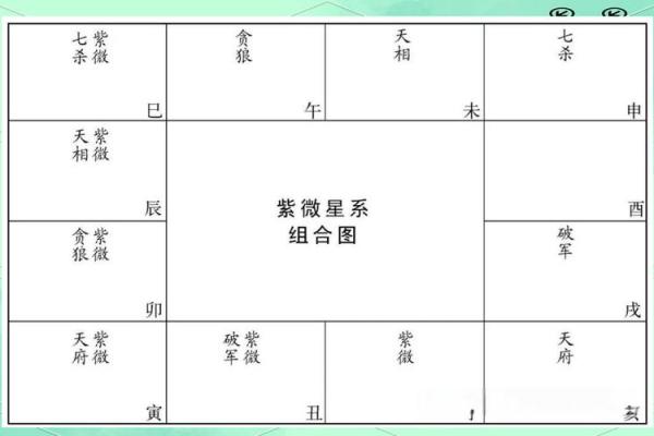 紫薇斗数排盘免费测试
