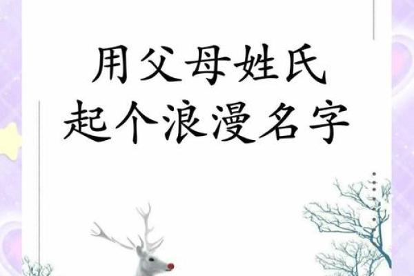 谈谈如何给属鼠末时的男孩取名姓名