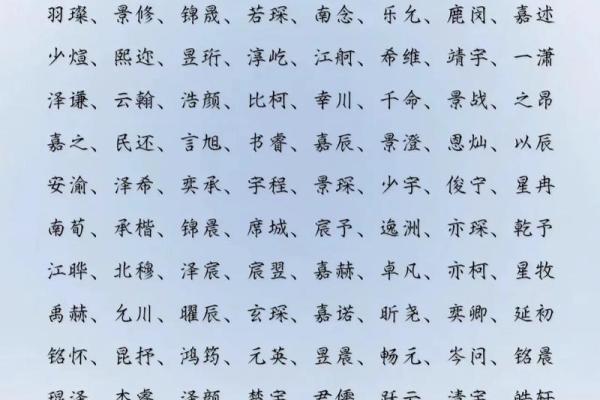 2019年6月19号子时出生的男孩如何起名姓名