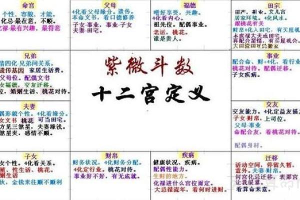 紫薇斗数星象解析
