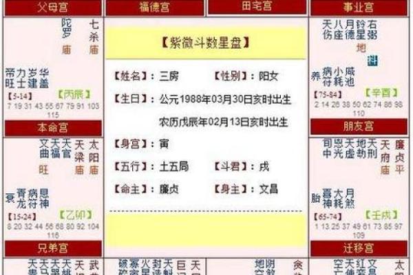 紫薇斗数看生子年