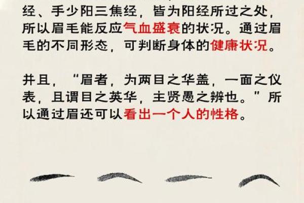 刮眉毛风水