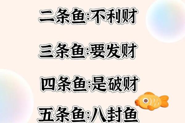 风水鱼养多少条比较好？