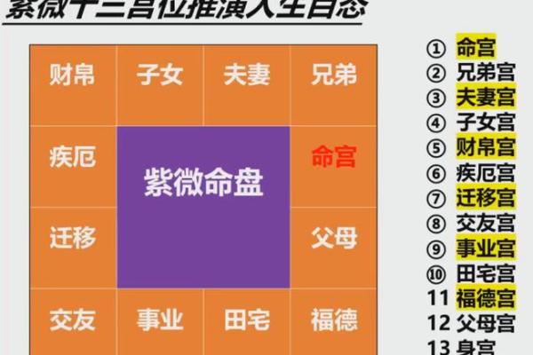 紫薇斗数紫薇在命