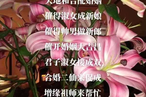 这些旺桃花风水布局安排起来 桃花运暴涨 父母再也不催婚