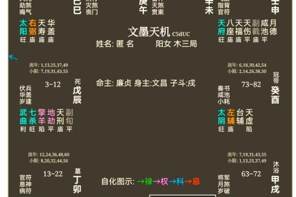天粱紫薇斗数