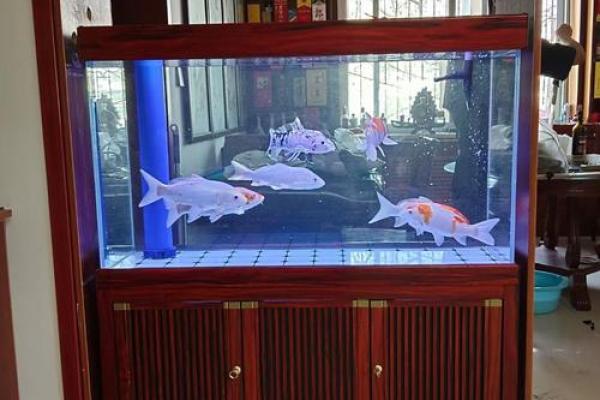 阳宅风水师告诉你 家里摆放什么才能更快的招来财气