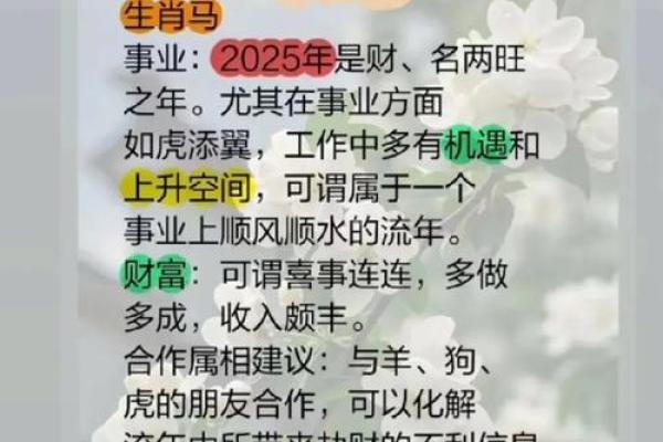 风水男人带驿马好不好什么意思