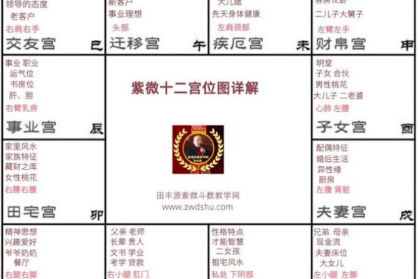 紫微斗数命盘解析：十二宫位