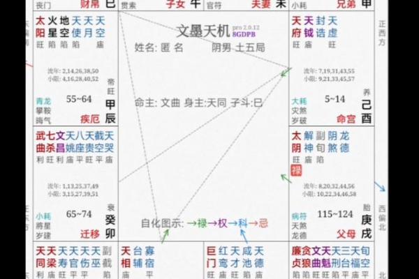 紫薇斗数看还能东山在起吗