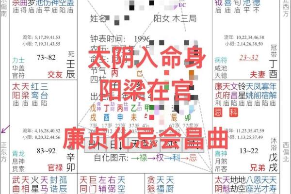 紫薇斗数不得地