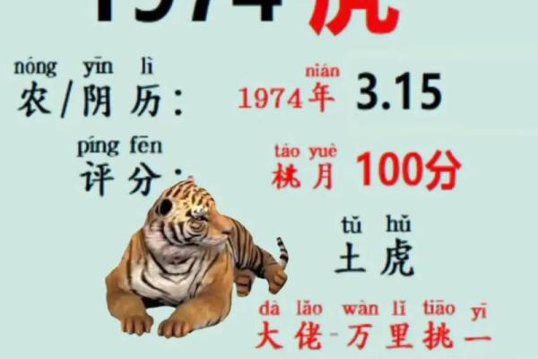 开个算命网站