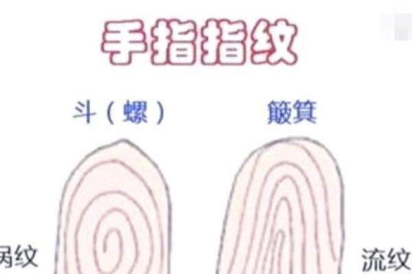 手指斗算命 手上有几个斗适合当老板