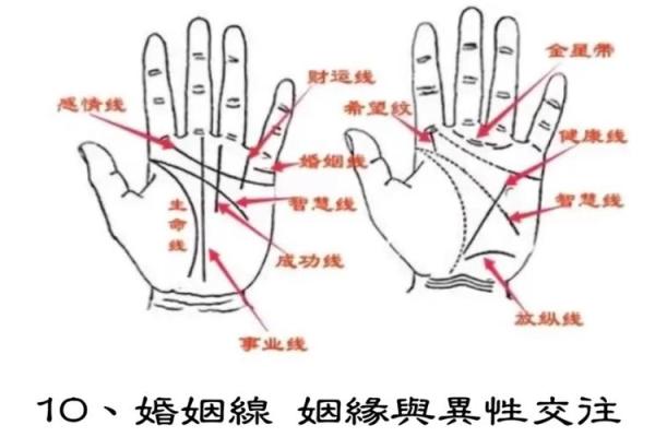 手纹线看相 手纹看相算命图解
