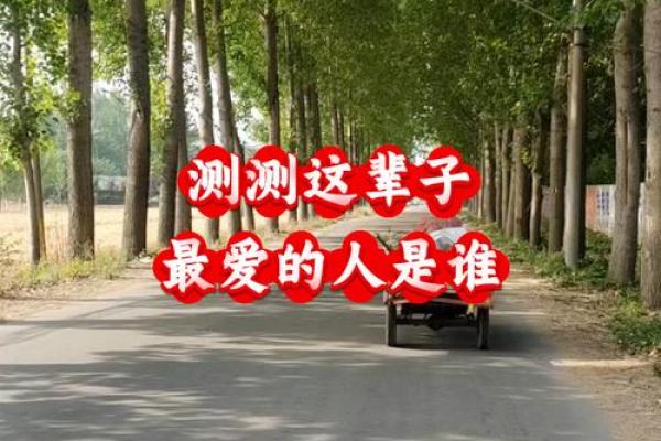 测试：你一生中能遇到几个真心喜欢的人？