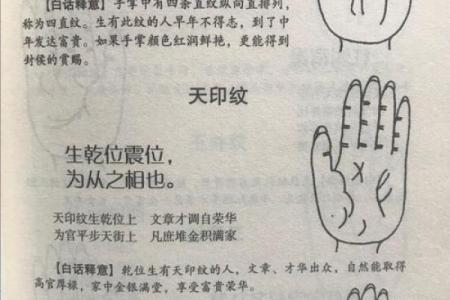 凯帝阿手相算命图解大全06