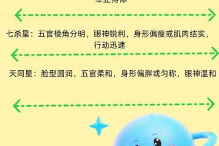 紫薇斗数星宿含义