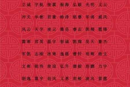 5月份出生的属龙男孩适合起什么名字姓名