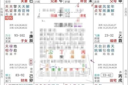 紫薇斗数专属命盘