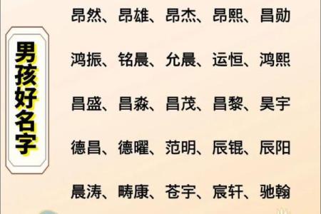 2019年4月20号卯时出生的男孩起名时要注意什么姓名