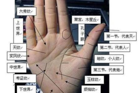看手相算命图解