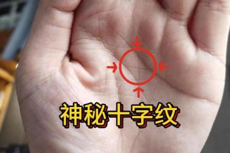 图解-智慧线上有十字纹算命