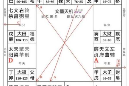 紫薇斗数排盘免费测试