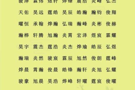 2019年3月30号亥时出生的男孩起名方法姓名