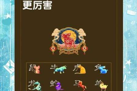 4月份出生的属猪男孩该怎么起名姓名