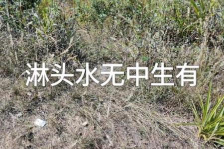 漏头水风水
