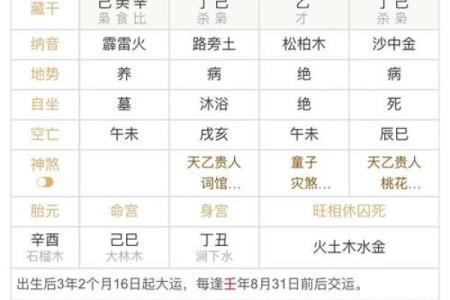 元亨利贞网在线排盘系统 如何使用元亨利贞网在线排盘系统进行占卜