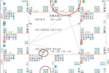 天粱紫薇斗数
