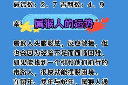 10月份出生的属猴男孩要怎样去取名字-姓名