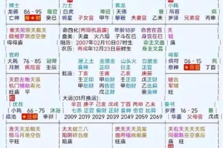 紫微斗数之兄弟宫与诸星,廉贞星在兄弟宫是什么意思？