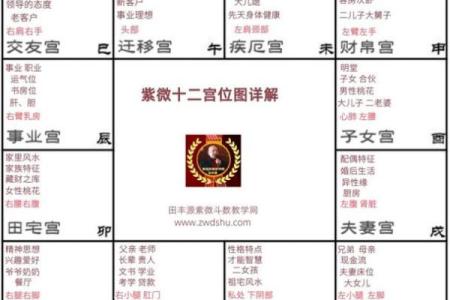 紫微斗数命盘解析：十二宫位