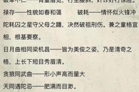 暗曜紫薇斗数