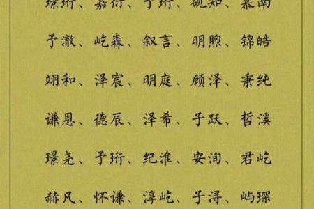 5月份出生的属鸡男孩起什么名字好姓名