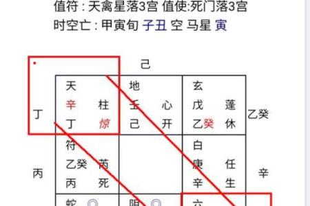 九重居周易八字排盘 九重啥意思是什么
