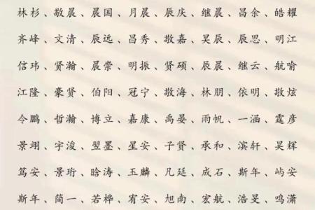 2019年3月17号辛时出生的男孩应该起什么样的名字姓名