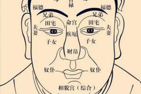 下紫薇斗数盘