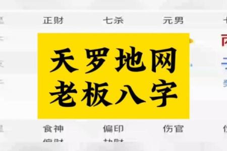 领导八字