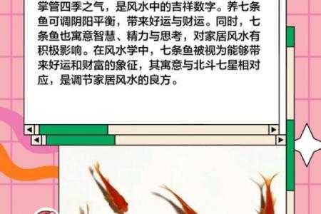 家里养鱼也有风水讲究这么一说
