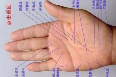 如何看手相算命看手相怎么看 如何看手相算命图片大全图解