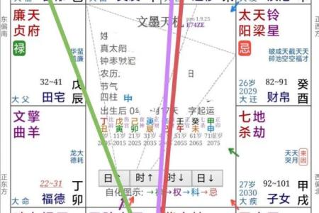 紫薇斗数要学多久